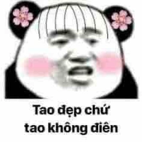 Chủ tuss cute 