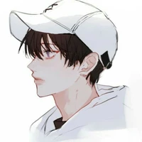 anh shipper