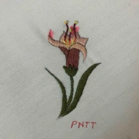 Mọi người (hoặc lớp)