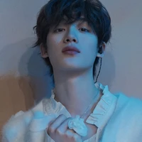 Đinh Trình Hâm(cậu)