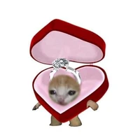 Bà tác giả :))