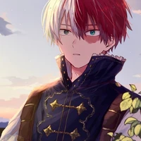 Todoroki Shoto [Shoto]