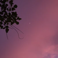 ALL