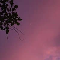ALL