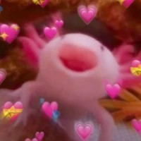 Tác giả là CON TRAI