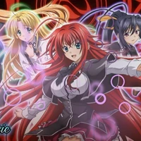 Dàn Harem cô