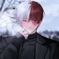Todoroki Shoto trưởng thành