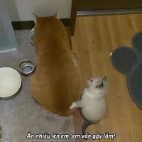 Tác giả siuuuu đáng iu