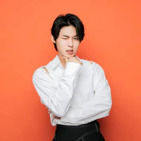 Lục Huy (Anh họ Dương)