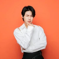 Lục Huy (Anh họ Dương)