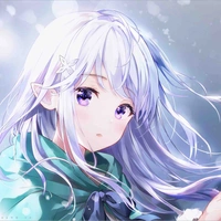 Vương Tinh Nguyệt (Tg)