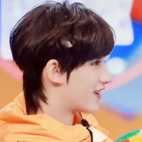 Đinh Trình Hâm