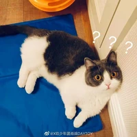 Kiên Quả Nương nương