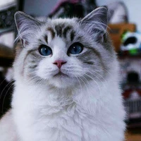 Fiulio (Tử thần)