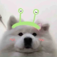 Tác giả thích lắc đuýk 