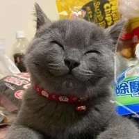 bả tác giảaaa