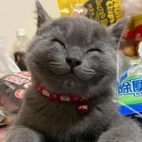 bbảa tác giảa