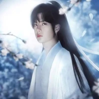 Vương Nhất Bác (xuyên không)