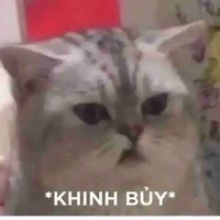 Nhân vật nhiều vai