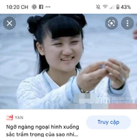 U Nhược
