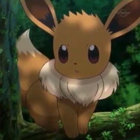Eevee / hệ thường