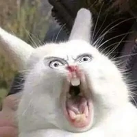 t/g mất máu vì đọc BL🌚