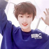 Đinh Trình Hâm