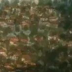 mọi người
