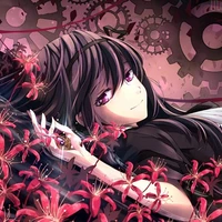 Hashi Myru