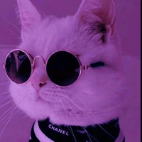 Tổng hợp các con quỷ