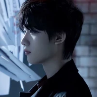 Đinh Trình Hâm_Anh