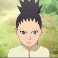 shikadai
