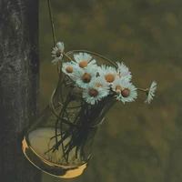 nv quần chúng- all