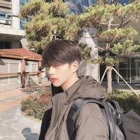 Trương Bạch Dương|Ari_Knights
