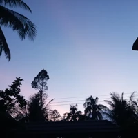 mọi người