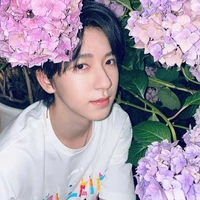 Hạ tuấn lâm