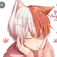 Todoroki Shouto/Shoto