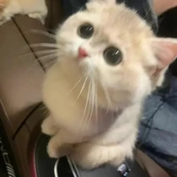 tác giả cute te hột me nhất hệ mặt trời