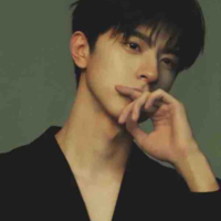 Vương Sư Tử