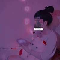 Han Ha Mi