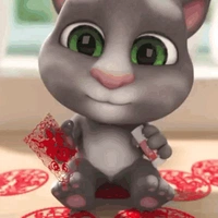 Ng của Tử quy