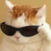 Tác giả đêyyy