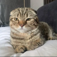 tui tới rồi đây