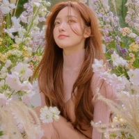 Choi Y/n