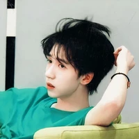Hạ Tuấn Lâm (em họ cậu)