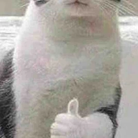Kon tác giả hay quên
