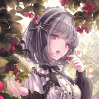 Tần Lộ Sa <BFF> ( Jelly )