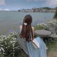 An Linh