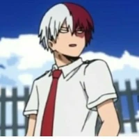 Todoroki Shouto