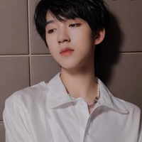 Hạ Tuấn Lâm